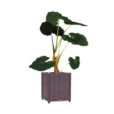 40*40*37cm 플라스틱 스퀘어 대농장주 박스 플라스틱 야채 경작자들 경량