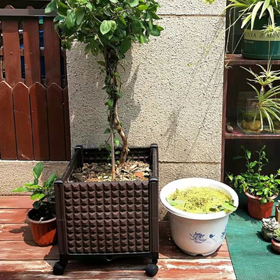 직사각형 높이는 대농장주 박스 저장이 가능한 플라스틱 꽃 상자 경작자를 급수하는 본인